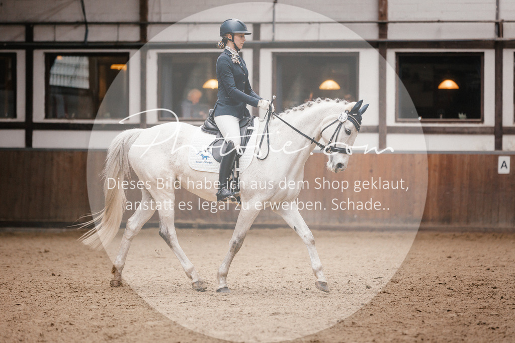 3I6A7250 | Stimmungsvolle Portraits und Reitsportfotografie im Ruhrgebiet und im Münsterland.

Pferdefotografie, Hundefotografie, Tierfotografie, Reportagen, Portraits von Tier und Mensch, Turnierfotografie in Bochum, Recklinghausen, Marl, Haltern am See, Dülmen.. - Realisiert mit Pictrs.com