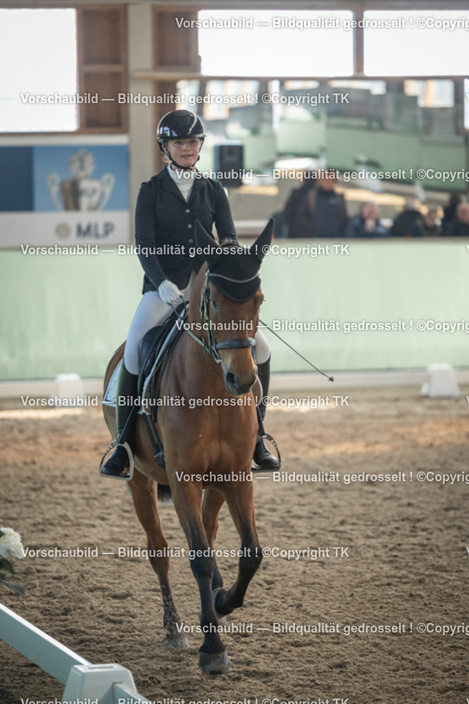 _D5A8268 | Emotionale Pferde- & People-Fotografie rund um Heidelberg, Leimen & Umgebung. Natürliche Fotos von Pferd, Mensch & Familie. Jetzt Termin sichern!