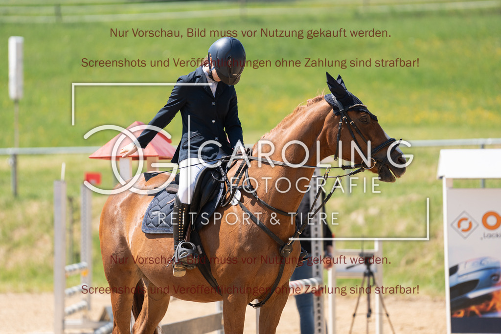 DSC04375 | Springturnier_Ehingen_Mai_2026, Elena_Louise_Emsberger, Strong_Enough_4