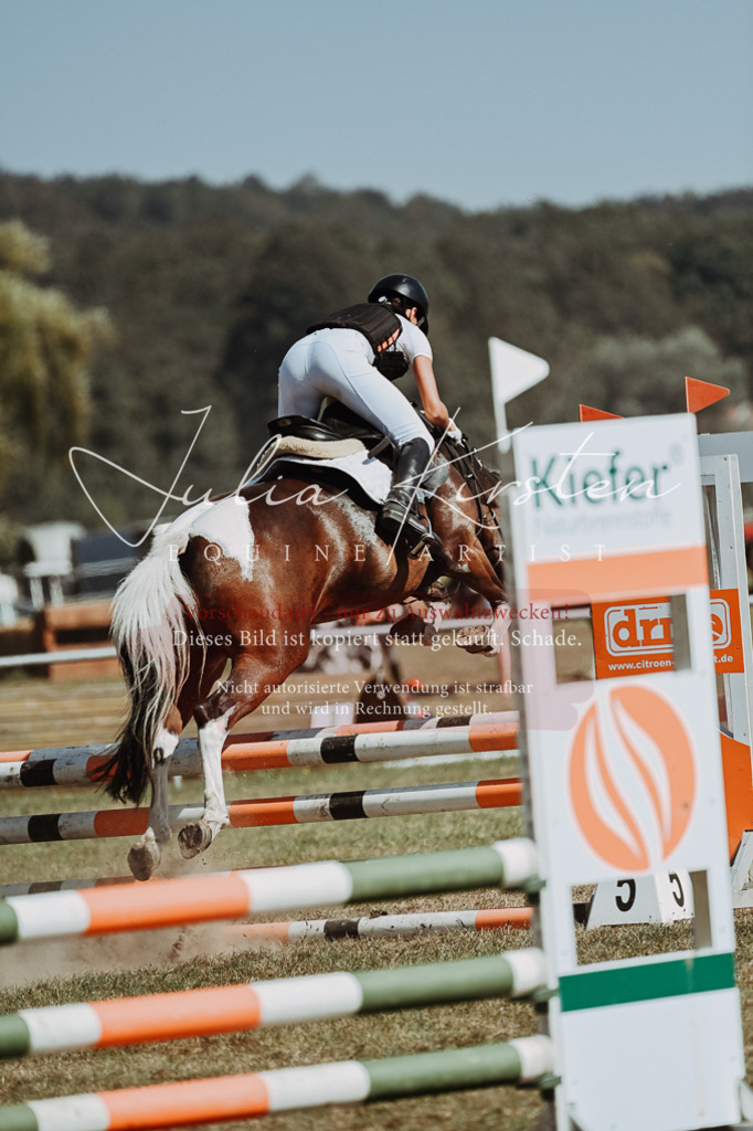 DSC_9899 | Pferde- und Turnierfotografie in Westsachsen. Pferdeportraits, Auftragszeichnungen und intuitive Kunst.