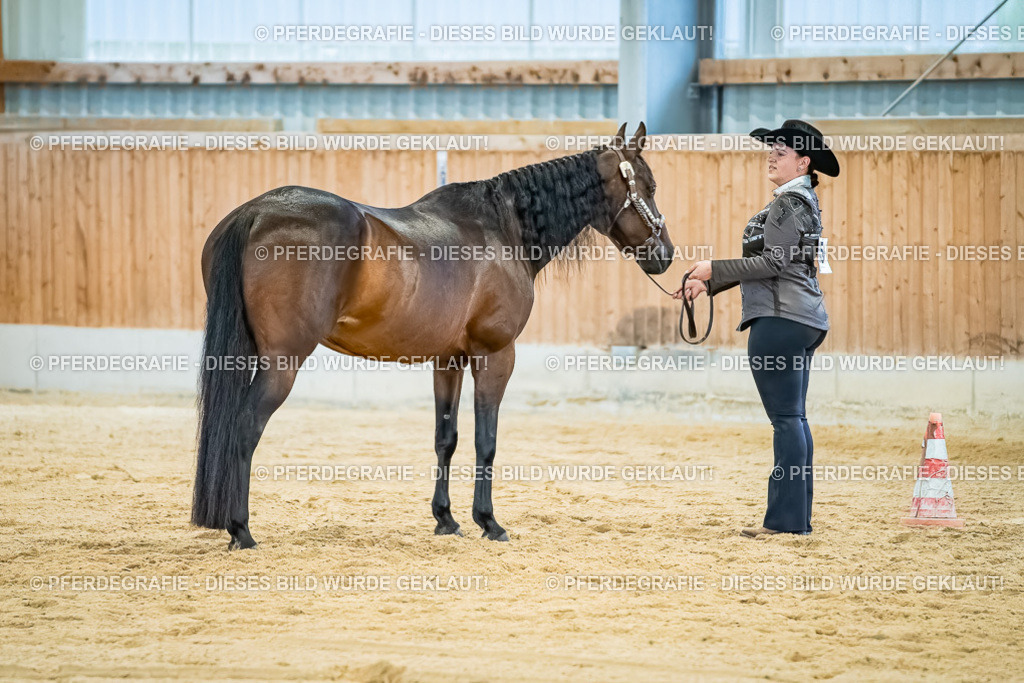 DSC09845 | Pferdegrafie