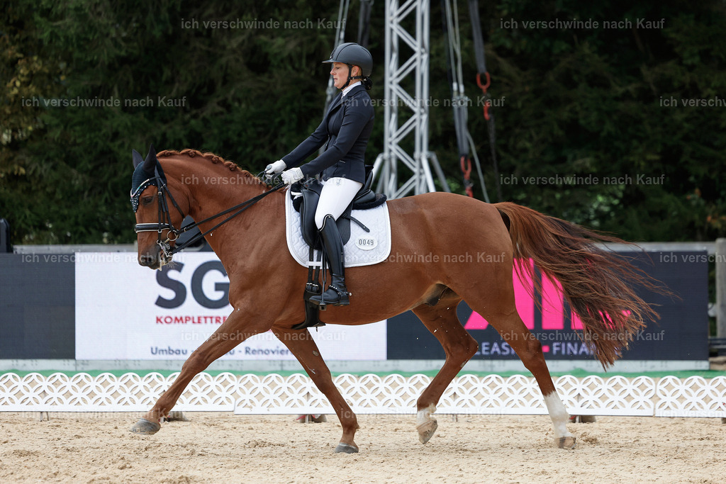 3-049-Dressur M_-StoibPH-2285 | working equitationturnier fotograf videograf stoibphotography marixx film working equitation deutschland reitsport turnierfotografie eventfotografie equestrian events