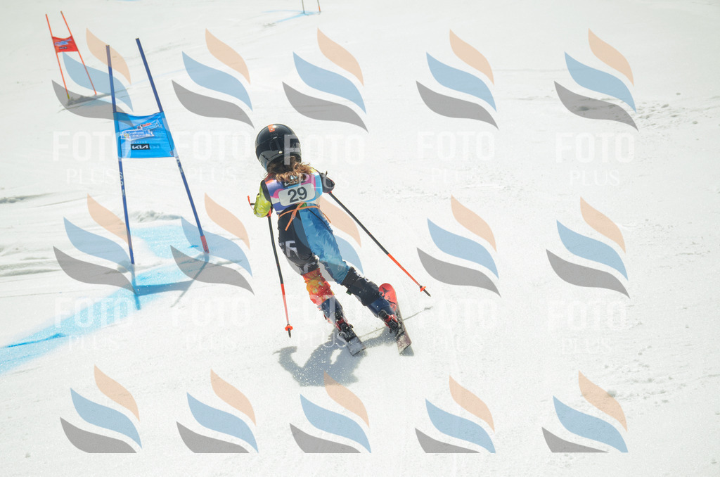 _ELE4870 | holidayphoto