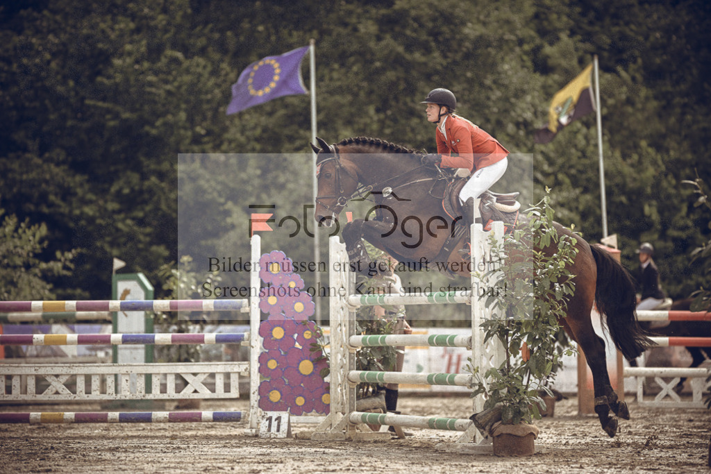 20240530-DOS_3841 | Entdecke hochwertige Reitturnierfotos von Foto Oger. Professionell, emotional und authentisch – jetzt Lieblingsmomente im Shop bestellen.Deutschlandweite Turnierfotografie. - Realisiert mit Pictrs.com
