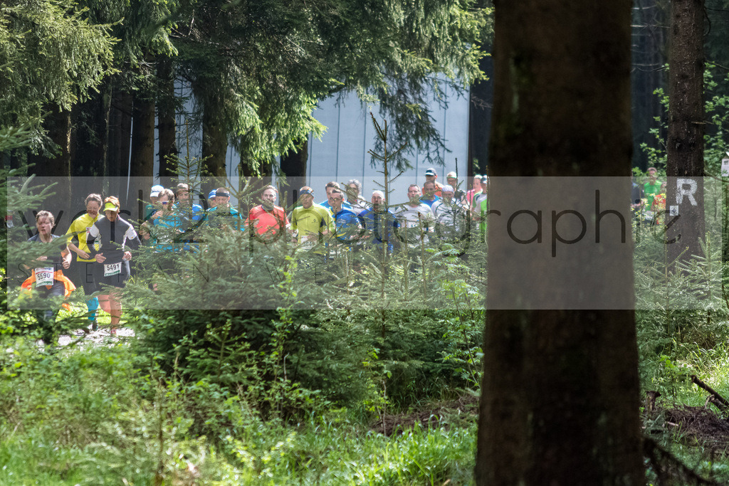 Rennsteiglauf 2017 | Neuhaus/Rwg. - Schmiedefeld am 19. Mai 2017