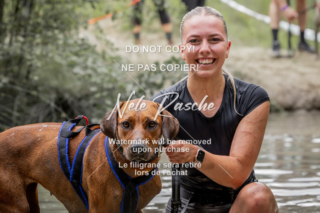 nelerasche_so1515-1530_355 | nelerasche