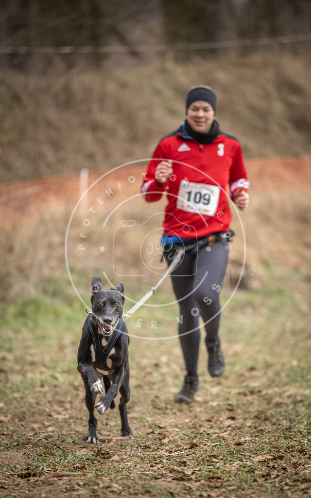 Pfotenfotografie_DV3A7521 | Hundefotografie, Tierfotograf, Pfotenfotografie, Fotoshooting Hund, Hunde Portrait, Hundesport, Hundeportraits, Heideshooting, Hunde, Sportfotograf, Hundefotograf, Turnierhundsport, THS,  - Realisiert mit Pictrs.com
