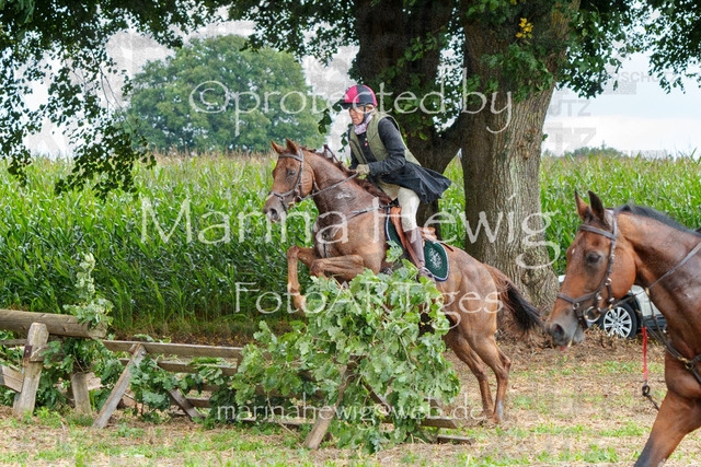 Jagd Perdoel_MarinaHewigMCH04877 | Fotografie, FotoArt, PferdesportArt, Pferdesportfotografie, Landschaftsfotografie, Reisefotografie, Reise, Pferde - Realisiert mit Pictrs.com
