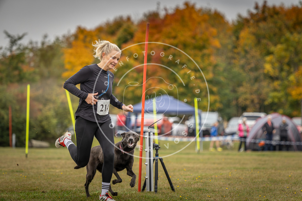 Pfotenfotografie_DV3A3447 | Hundefotografie, Tierfotograf, Pfotenfotografie, Fotoshooting Hund, Hunde Portrait, Hundesport, Hundeportraits, Heideshooting, Hunde, Sportfotograf, Hundefotograf, Turnierhundsport, THS,  - Realisiert mit Pictrs.com