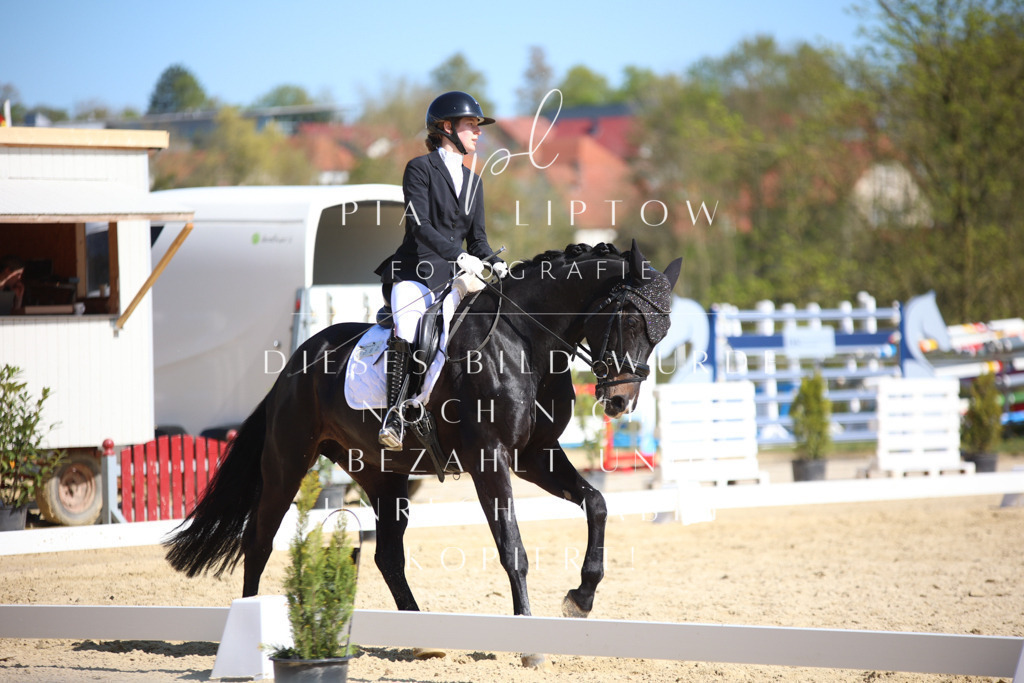 IMGT2261 | pl-fotografie