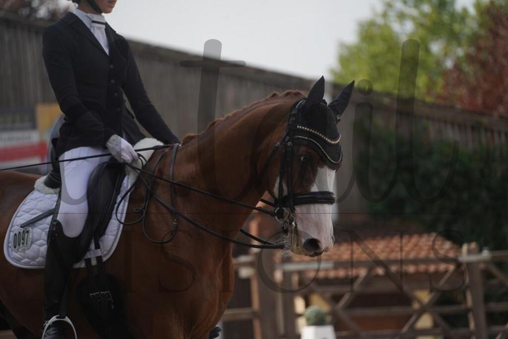 tbhsamstag (651) | d.tail Visions - Shop - Realisiert mit Pictrs.com