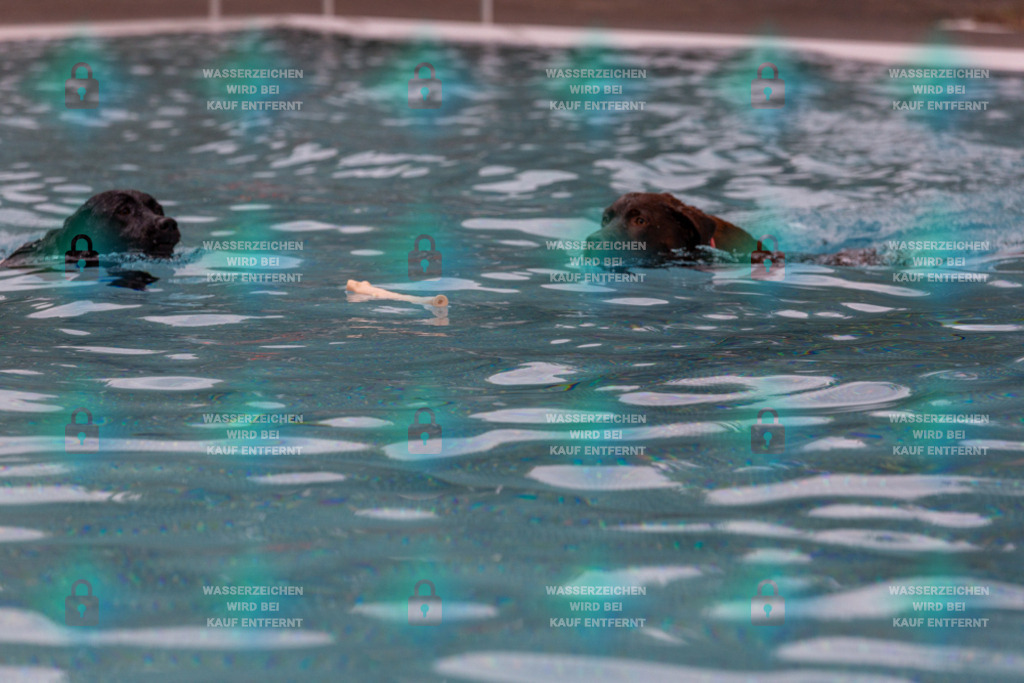 _HP_6300_1000o | HetPix, HetPix Fotodesign, Fotografie, Fotodesign, Webshop, Sportfotografie, Portraitfotografie, Onlineshop, Sportfotografie, Polch, Motorsportfotografie, Eventfotografie