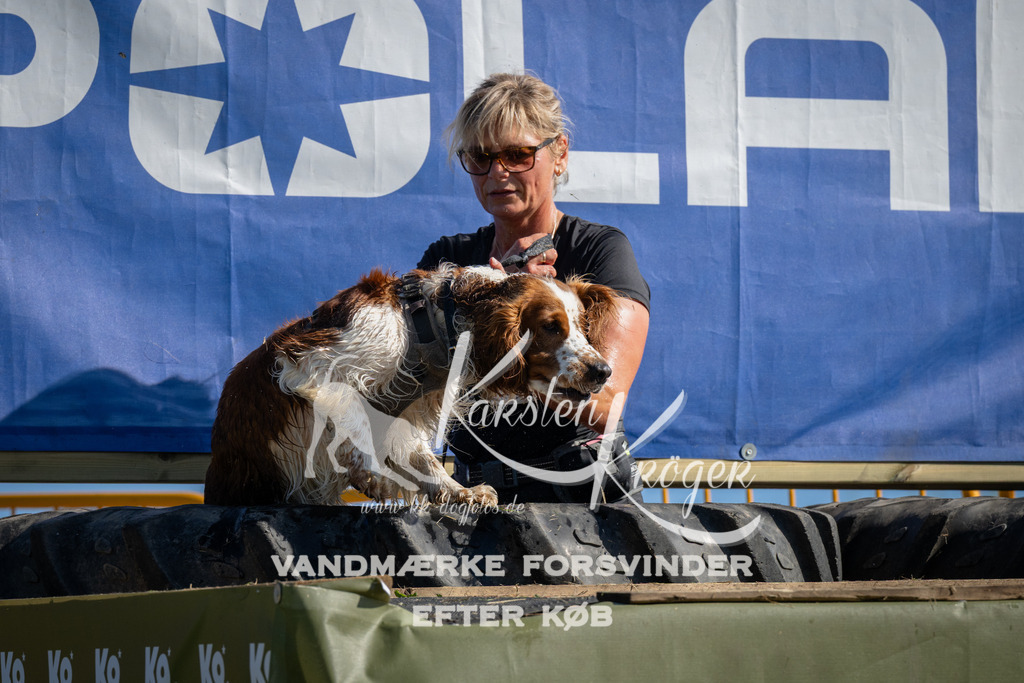 1009_ZZ97713 | kk-dogfotos