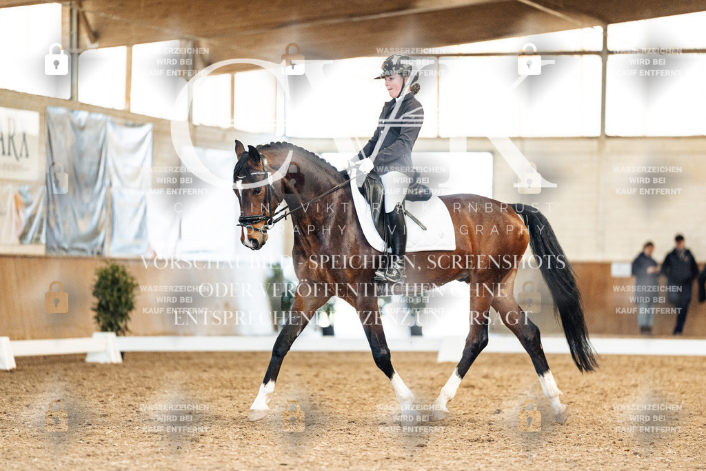 CK909907 | Turnierfotografie Pferdefotografie Trier Rheinland-Pfalz Pferdesport Reitsport Tierfotografie Sportfotografie Pferdevideo Pferdevideografie Equestrianvideography equestrianphotography  - Realisiert mit Pictrs.com
