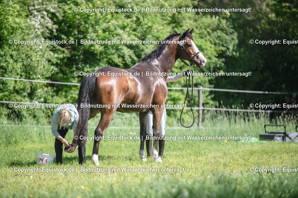 20240511_Impressionen_0015 | Foto: Thomas Hartig