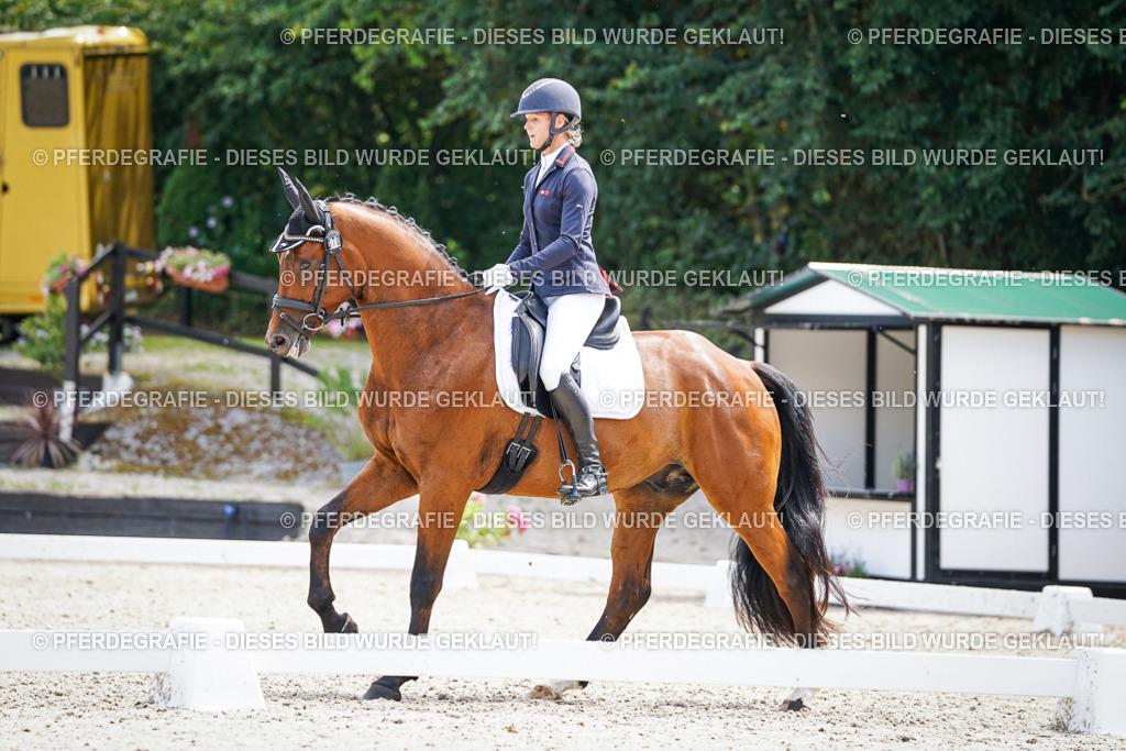 DSC00241 | Pferdegrafie