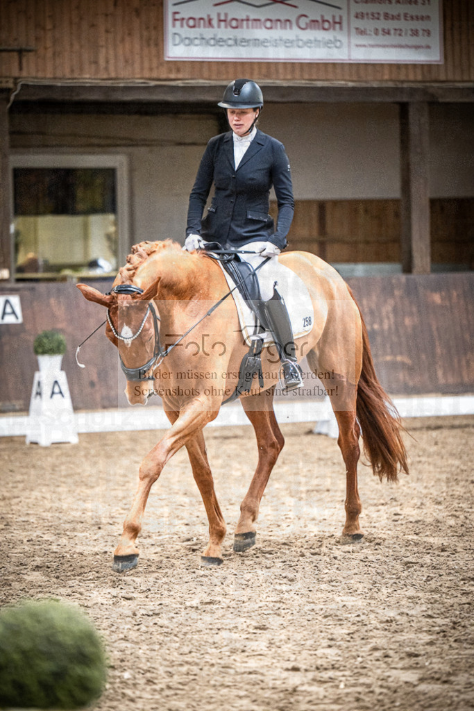 DOS_0187 | Entdecke hochwertige Reitturnierfotos von Foto Oger. Professionell, emotional und authentisch – jetzt Lieblingsmomente im Shop bestellen.Deutschlandweite Turnierfotografie. - Realisiert mit Pictrs.com