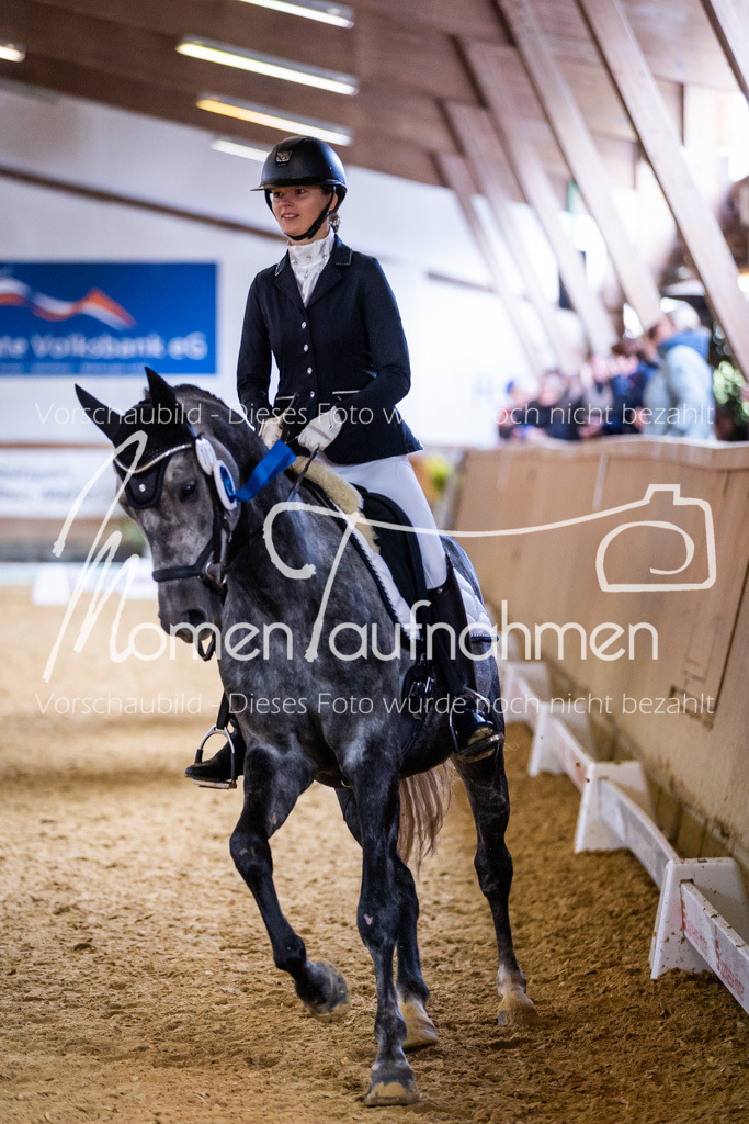 Sth-A-Dre-2St-254 | MomenTaufnahmen Pferdesportfotos