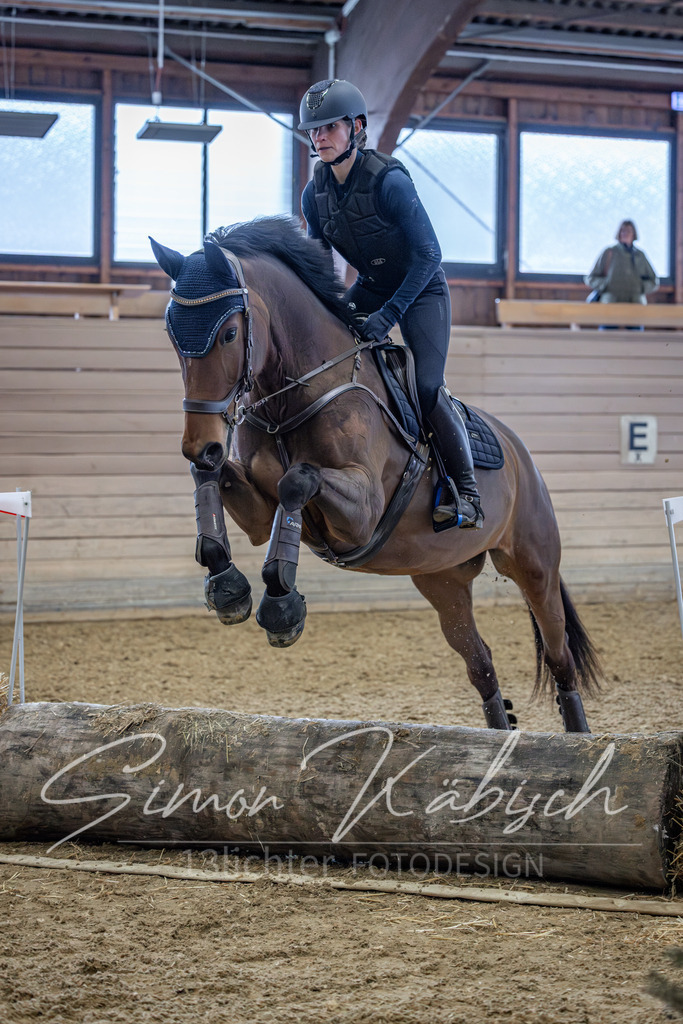 20260221-_3LI9010 | Tierfotografie Pferde, Hunde, Katzen, Haustiere.
Turnierfotografie Reitturniere, Reiten, Springreiten, Dressur in Hanau, dem Main-Kinzig-Kreis und dem Rhein-Main- Gebiet um Frankfurt