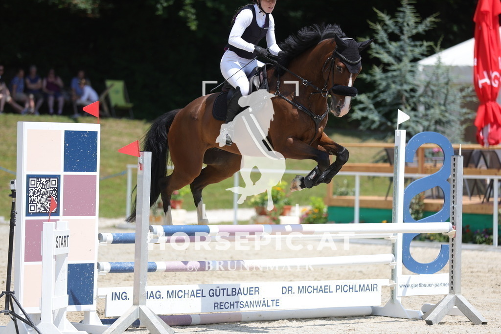 0P6A9566 | Willkommen bei Brunnmayr - Design & Fotografie – Ihrem Spezialisten für Reitturniere und Pferdeveranstaltungen in Oberösterreich, Salzburg und Bayern! Seit über 17 Jahren sind wir leidenschaftlich dabei.