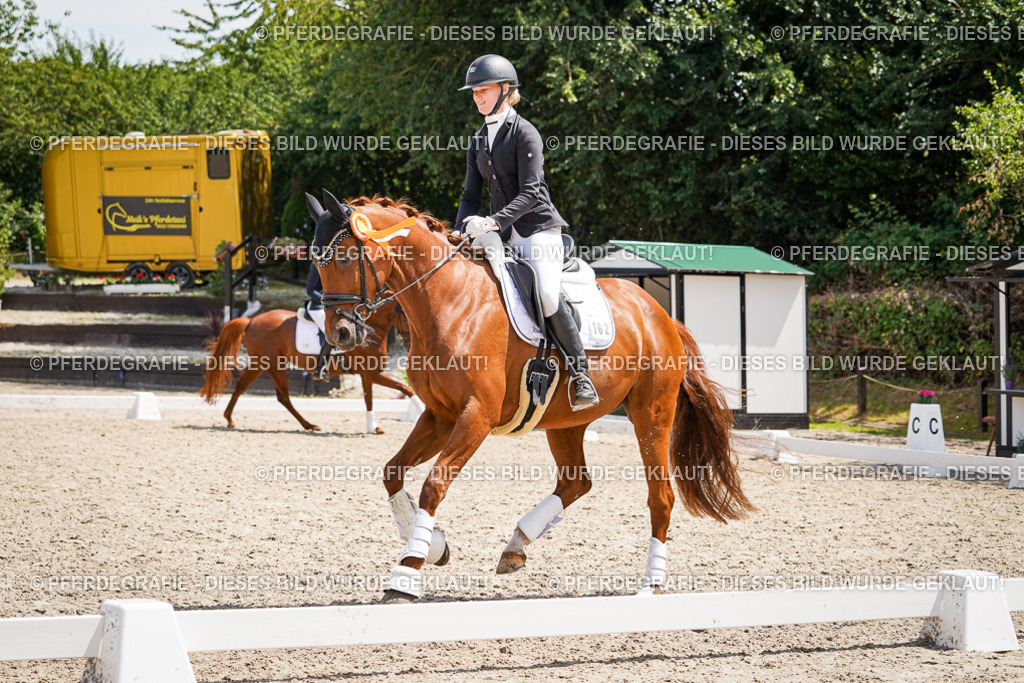 DSC01820 | Pferdegrafie