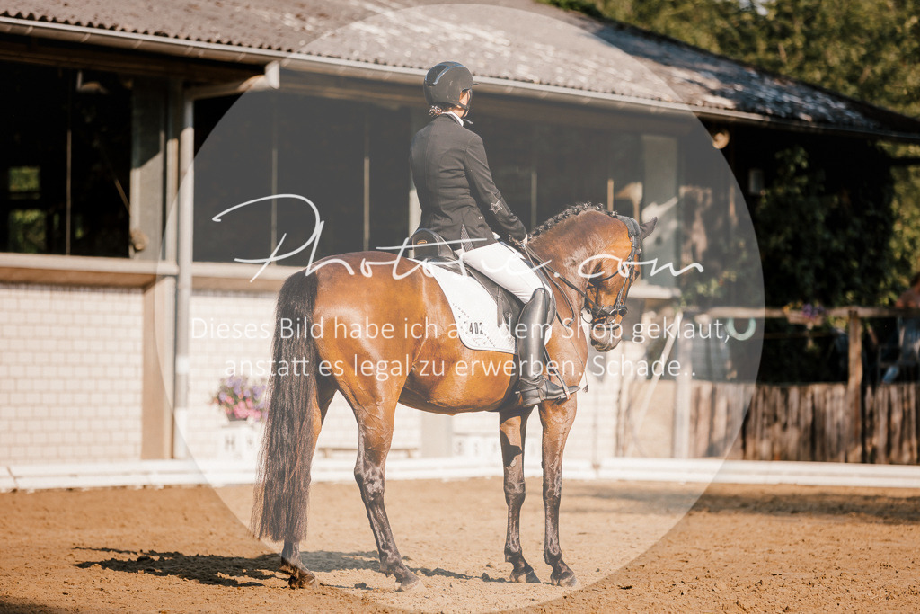 3I6A8634 | Stimmungsvolle Portraits und Reitsportfotografie im Ruhrgebiet und im Münsterland.

Pferdefotografie, Hundefotografie, Tierfotografie, Reportagen, Portraits von Tier und Mensch, Turnierfotografie in Bochum, Recklinghausen, Marl, Haltern am See, Dülmen.. - Realisiert mit Pictrs.com