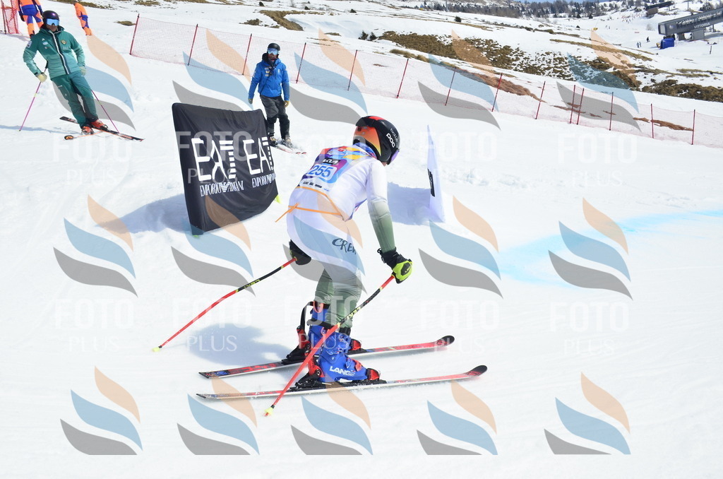 _ELE1884 | holidayphoto