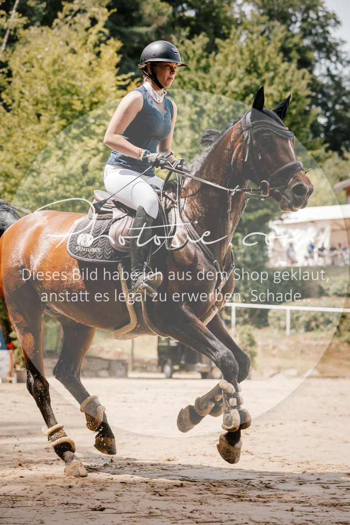 3I6A7900 | Stimmungsvolle Portraits und Reitsportfotografie im Ruhrgebiet und im Münsterland.

Pferdefotografie, Hundefotografie, Tierfotografie, Reportagen, Portraits von Tier und Mensch, Turnierfotografie in Bochum, Recklinghausen, Marl, Haltern am See, Dülmen.. - Realisiert mit Pictrs.com