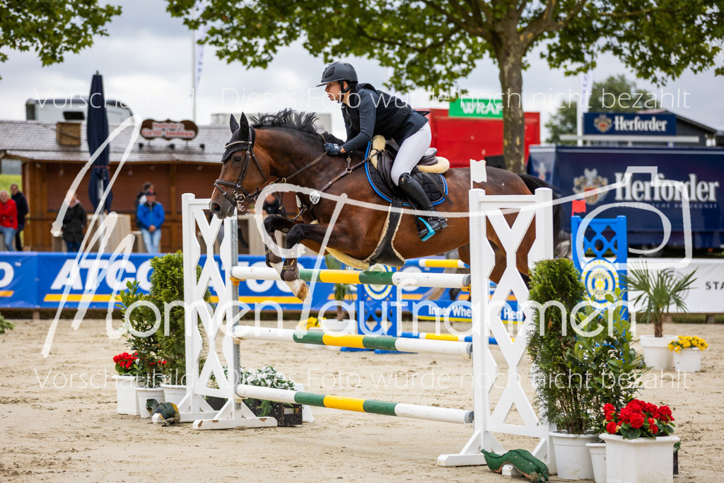 BHO-2PhSpr-M-5-2248 | MomenTaufnahmen Pferdesportfotos