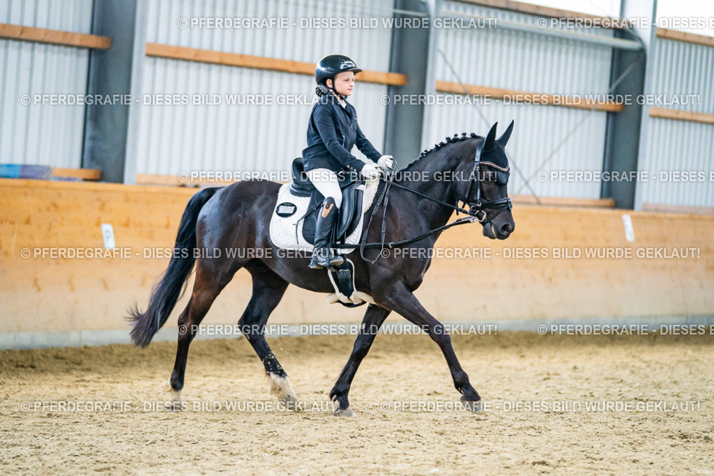 DSC04701 | Pferdegrafie