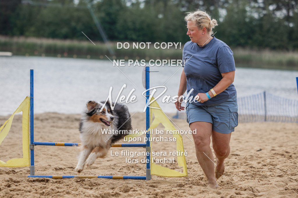 nelerasche_BuHu2026_So1530-Ende_169 | nelerasche