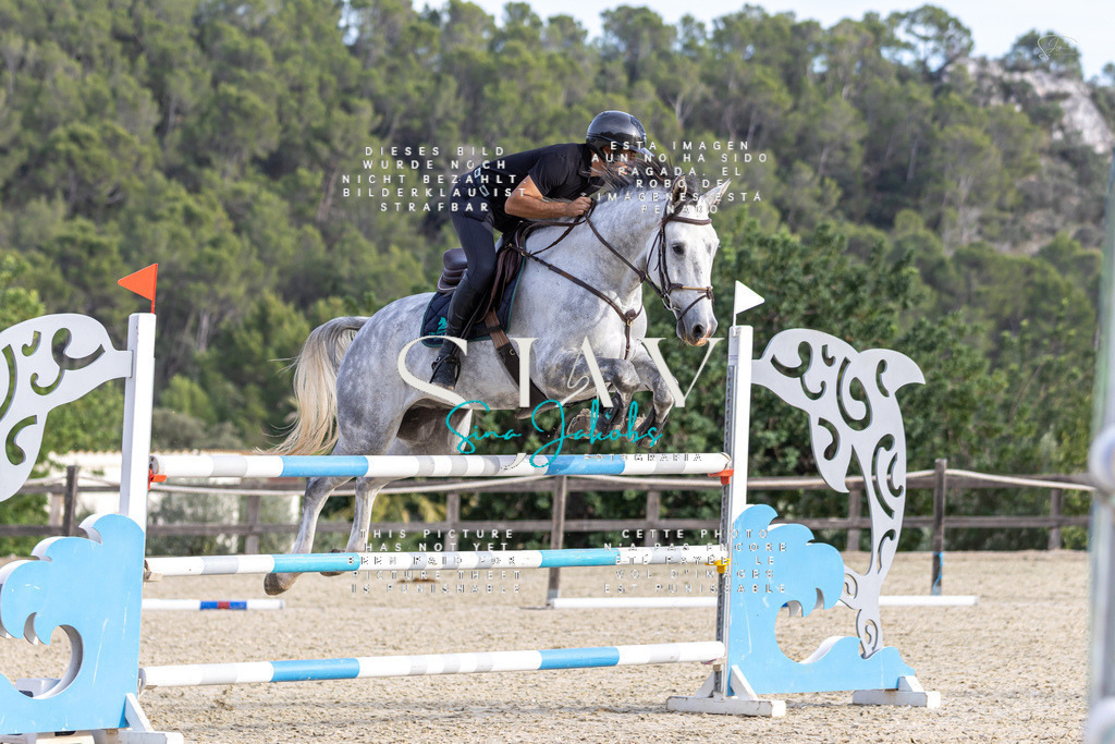 IMG_4826 | s-jay-photography - Realisiert mit Pictrs.com