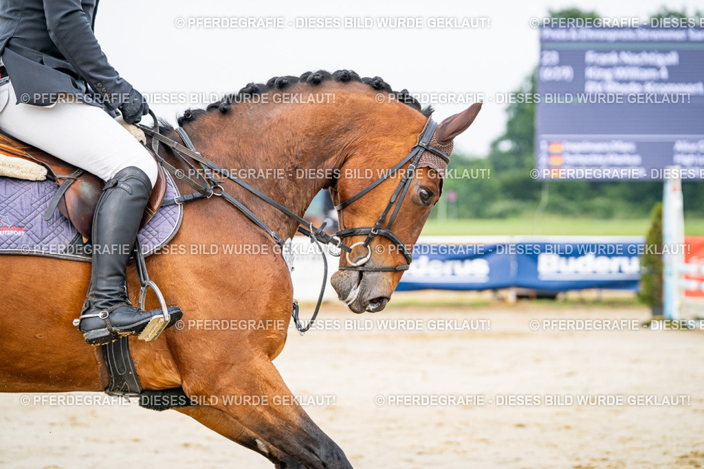 DSC08709 | Pferdegrafie