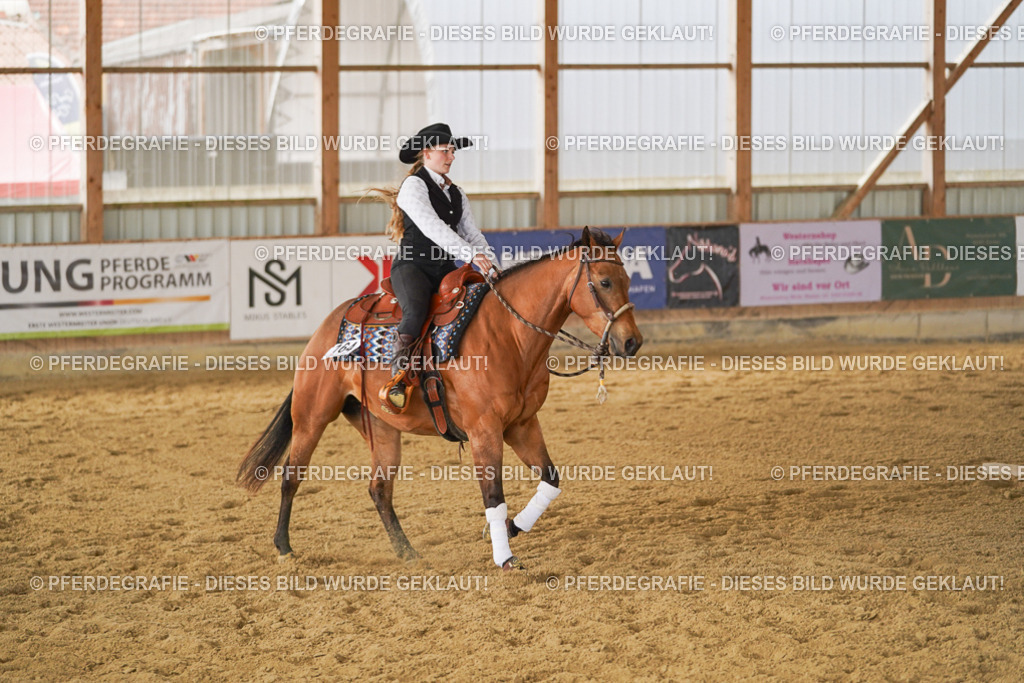 DSC04925 | Pferdegrafie