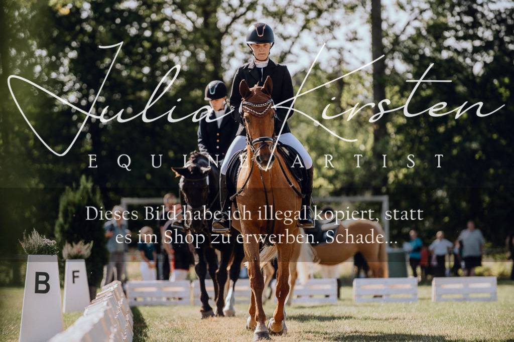 DSC_7173 | Pferde- und Turnierfotografie in Westsachsen. Pferdeportraits, Auftragszeichnungen und intuitive Kunst.