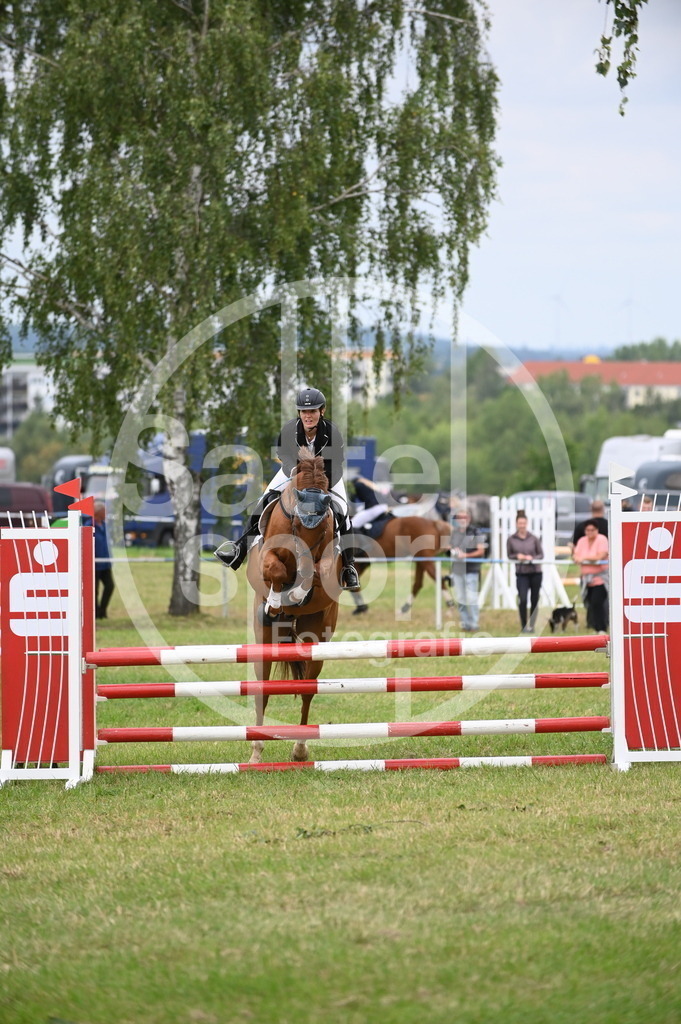 DSC_1555 | sattelsport - Realisiert mit Pictrs.com