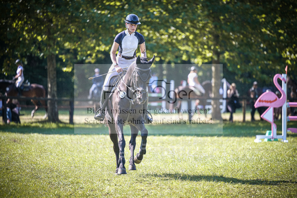 DOS_0154 | Entdecke hochwertige Reitturnierfotos von Foto Oger. Professionell, emotional und authentisch – jetzt Lieblingsmomente im Shop bestellen.Deutschlandweite Turnierfotografie. - Realisiert mit Pictrs.com