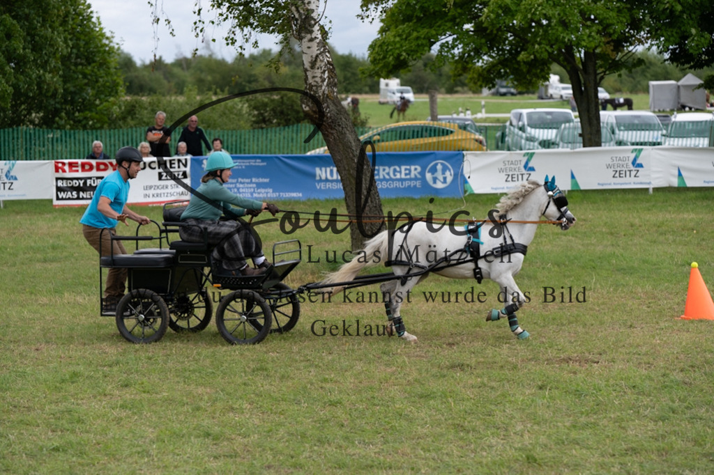 A7V06157 | Turnier/Reitfotograf