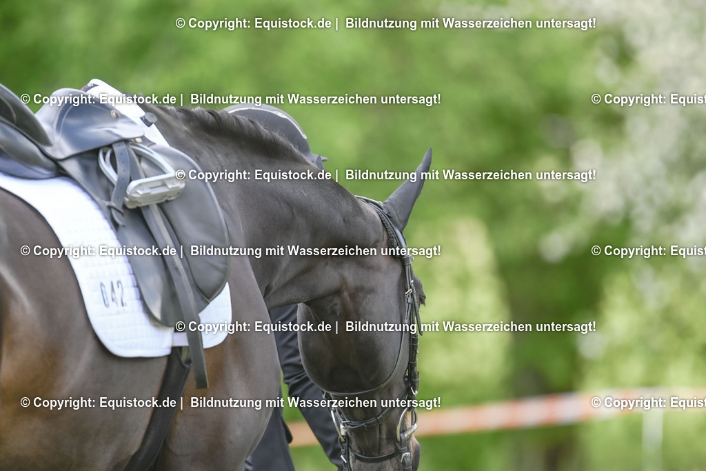 20250516_Impressionen_0081 | Foto: Thomas Hartig