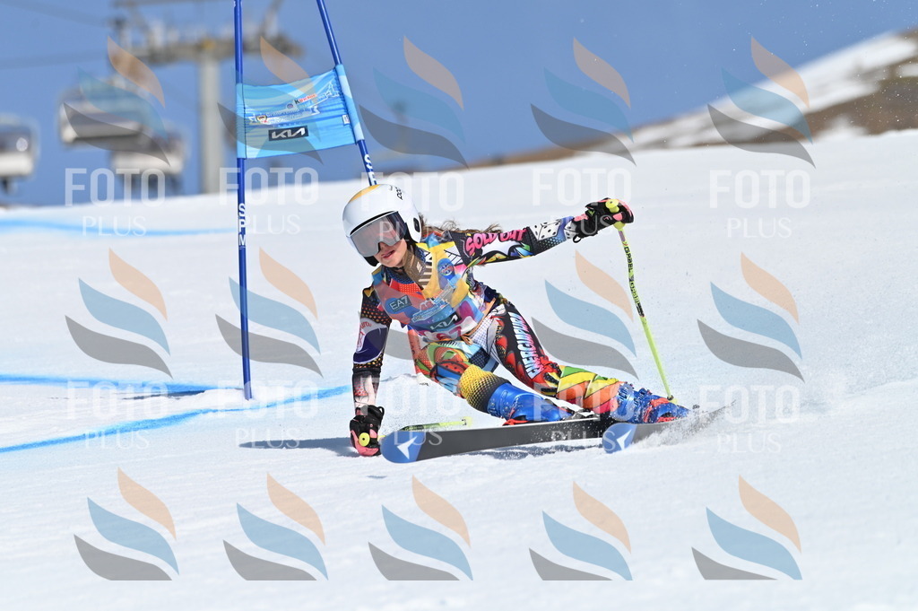 BGV_8851 | holidayphoto