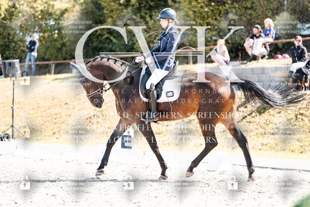 CK903301 | Turnierfotografie Pferdefotografie Trier Rheinland-Pfalz Pferdesport Reitsport Tierfotografie Sportfotografie Pferdevideo Pferdevideografie Equestrianvideography equestrianphotography  - Realisiert mit Pictrs.com