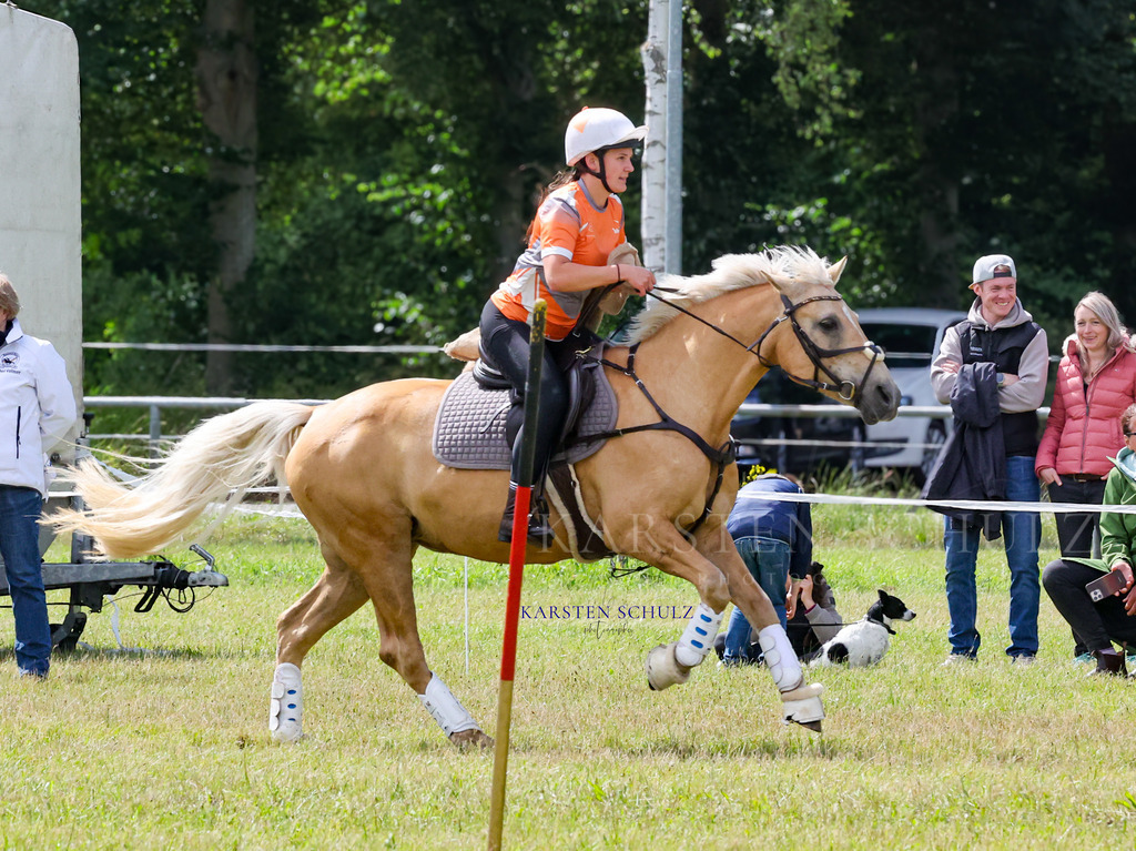 1B3A4656 | Reitsport Reiten