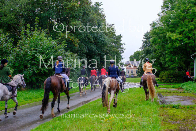 Jagd Perdoel 26 Fuji-9804_MarinaHewig | Fotografie, FotoArt, PferdesportArt, Pferdesportfotografie, Landschaftsfotografie, Reisefotografie, Reise, Pferde - Realisiert mit Pictrs.com