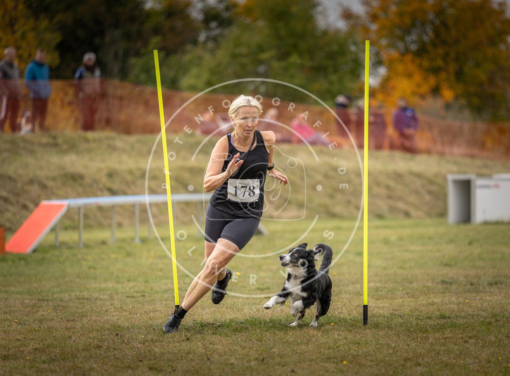 Pfotenfotografie_DV3A5893 | Hundefotografie, Tierfotograf, Pfotenfotografie, Fotoshooting Hund, Hunde Portrait, Hundesport, Hundeportraits, Heideshooting, Hunde, Sportfotograf, Hundefotograf, Turnierhundsport, THS,  - Realisiert mit Pictrs.com