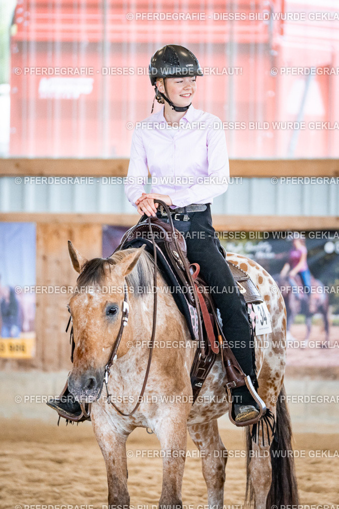 DSC02748 | Pferdegrafie