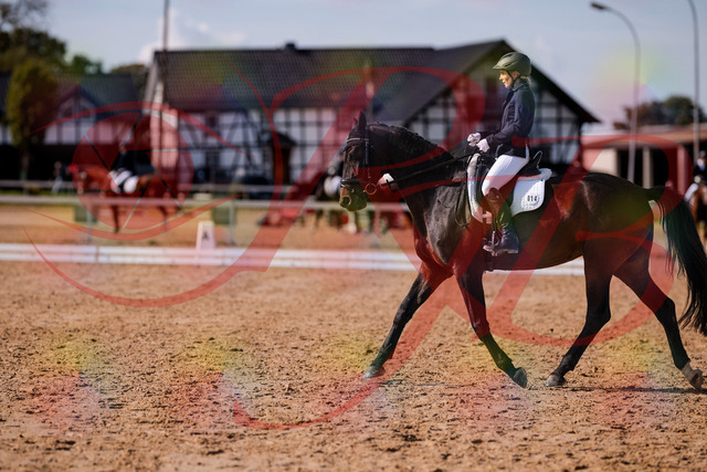 2026_10_03_Siefer-Hof_133852_Z81_97851926 | Professionelle Reitsport-, Turnier- und Eventfotografie von Robert Broda. Galerien mit ausgewählten und bearbeiteten Bildern direkt online ansehen und bestellen.