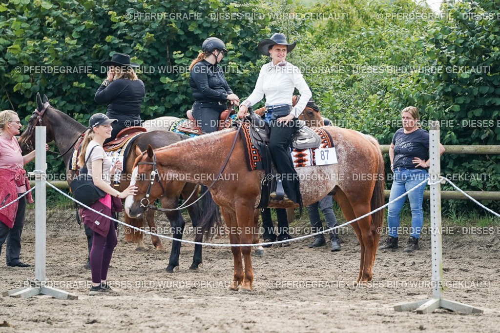 DSC04597 | Pferdegrafie