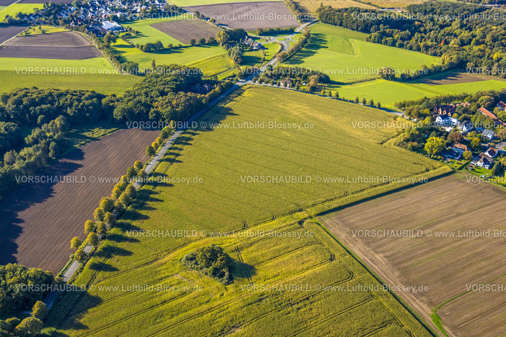 Bergkamen241006505Maiwald | Luftbild, dreieckige Baumgruppe auf einem Feld an der Lünener Straße, Acker, Feld, Baumgruppe, Landwirtschaft, Weddinghofen, Bergkamen, Ruhrgebiet, Nordrhein-Westfalen, Deutschland