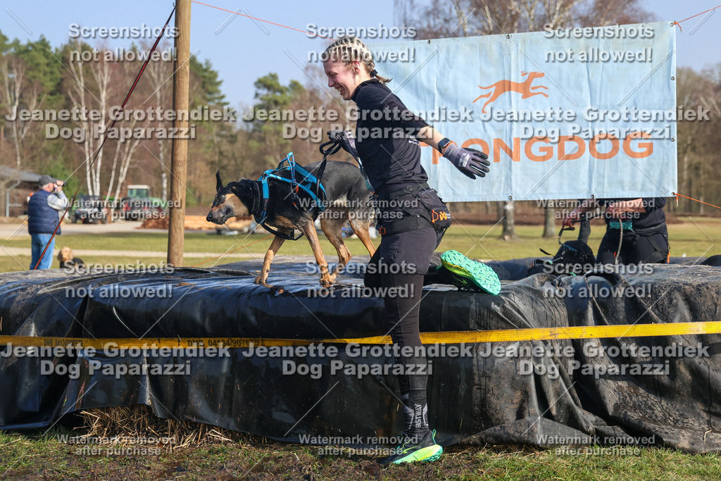 Dog Paparazzi - Strongdog North Mrz26-2879 | Dog Paparazzi Jeanette Grottendiek Fotografie & Videografie - Realisiert mit Pictrs.com