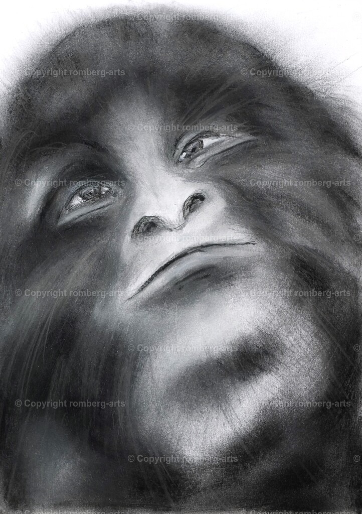 L1020514 (2) | romberg-arts, romberg-arts.de, www.romberg-arts.de, Foto_Online_Shop, Julia Fuhrmann, Köln, Fotos, Fotografie, Fotokunst, Kunstdrucke, Naturfotos, Aktfotos, Nacktfotos, schwarz_weiß_Fotos, Blumenfotos, Blumen, Tiere, Beton, Korrosion, Lächeln, Drucke